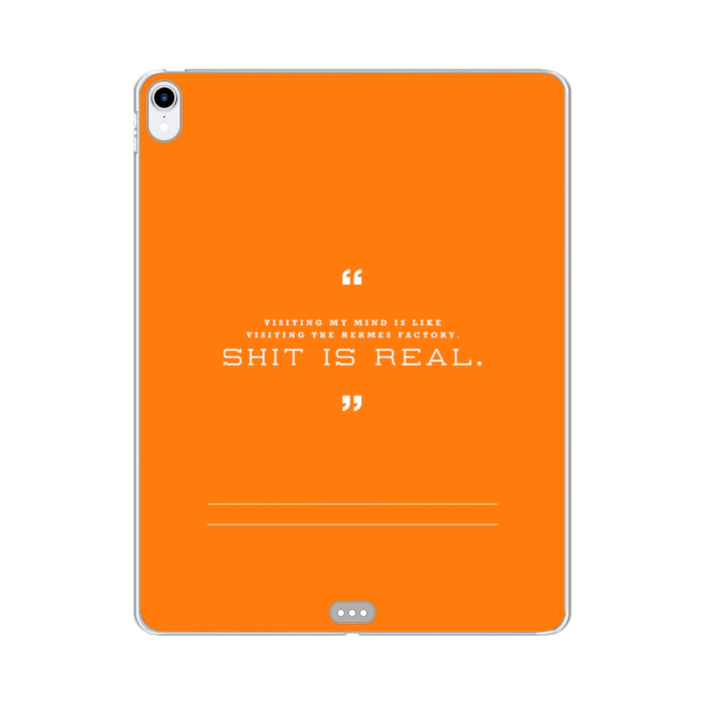 hermes ipad air case