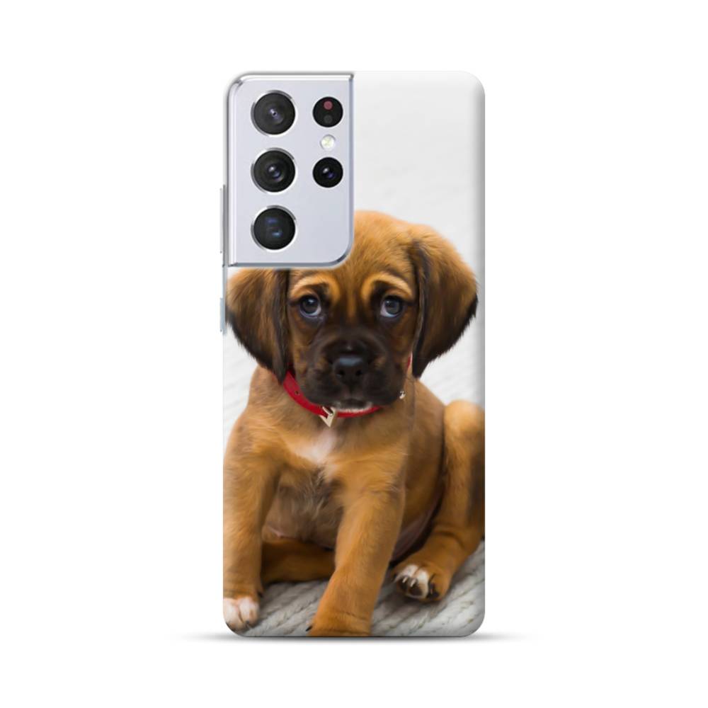 For Samsung S21 Plus Ultra S20 FE S10 NOTE Phone Case Pug Dog Animal Pet  Cute